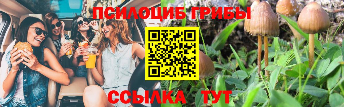 Псилоцибиновые грибы Cubensis  Псилоцибиновые грибы мухоморы  Вход с VPN  Набережные Челны 