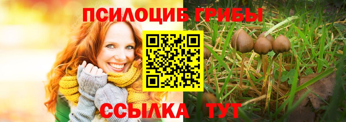 Псилоцибиновые грибы мухоморы Набережные Челны